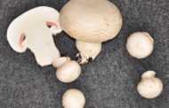 Обзор рынка 22.04.2013: Объёмы производства гриба увеличились