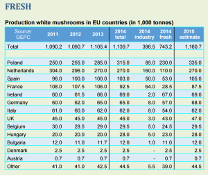 Продажи грибов на мировых рынках остаются стабильно высокими