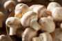 Обзор рынка гриба за 28 сентября: спрос на гриб ухудшился