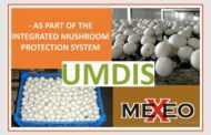 По цене производителя: оригинальный Armex 5 + Mexacid и другие препараты польского поставщика MEXEO в магазине УМДИС