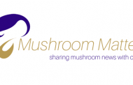 Платформа для грибоводов Mushroom Matter - информационный партнёр Дней Украинского Грибоводства
