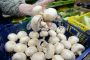 Огляд ринку грибів України за 12 липня