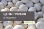 Обзор рынка гриба Украины за 26 января