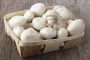 Огляд ринку грибів України за 8 листопада