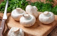 Огляд ринку грибів України за 14 листопада