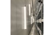 Лампы для грибоводства LED-Tube от Mertens — вечное решение для экстремальных условий камер выращивания