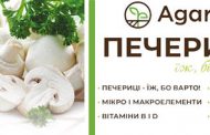 ТОВ «Агаріс Міко Україна» змінює ціни на компост