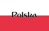 Polish pickers work at a speed of 19-23 kg/h