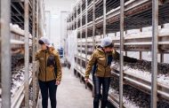 13 грудня побачимо одну з найбільших ферм Європи Sopinscy - вона виробляє 380 тон грибів на тиждень. Їдете з нами?