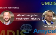 Чаба Хайду о рынке гриба в Венгрии. Новое ВИДЕО на УМДИС