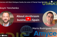 Video: Spanish mushroom market is not similar to others in Europe