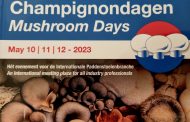 Dutch Mushroom Days in the palm of your hand. Catalogue and review