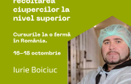 Înscrierea: 16-18 OCTOMBRIE, în România urmeaza CURSURI pentru cultivare și colectarea ciupercilor champignon